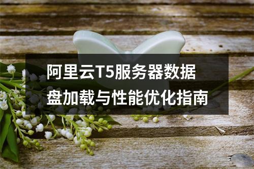阿里云T5服务器数据盘加载与性能优化指南