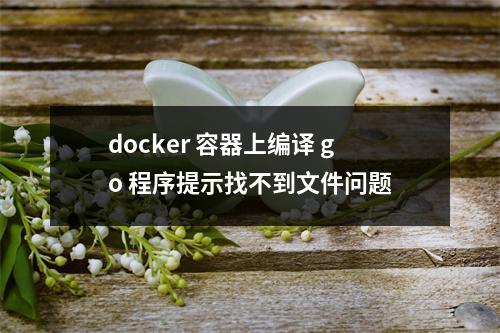 docker 容器上编译 go 程序提示找不到文件问题