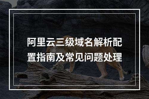 阿里云三级域名解析配置指南及常见问题处理