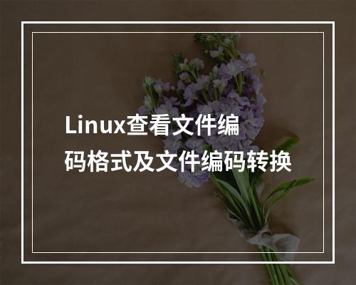 Linux查看文件编码格式及文件编码转换