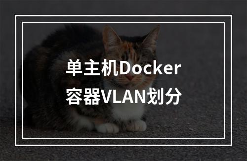 单主机Docker容器VLAN划分