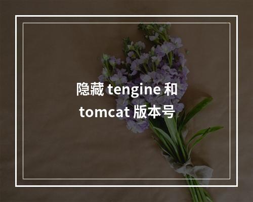 隐藏 tengine 和 tomcat 版本号