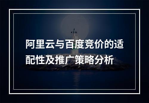 阿里云与百度竞价的适配性及推广策略分析