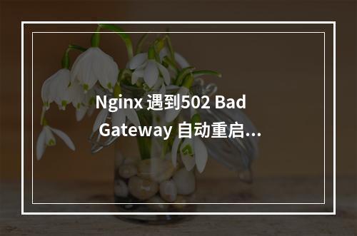 Nginx 遇到502 Bad Gateway 自动重启的脚本代码