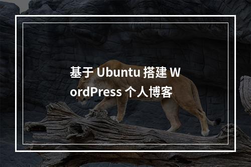 基于 Ubuntu 搭建 WordPress 个人博客