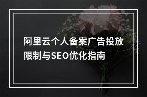 阿里云个人备案广告投放限制与SEO优化指南