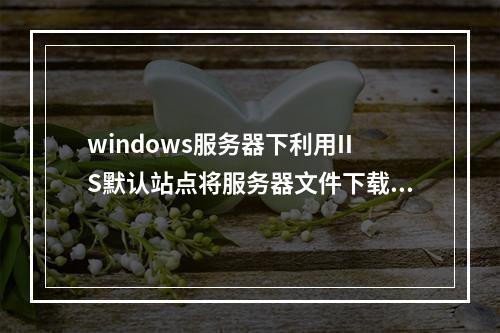 windows服务器下利用IIS默认站点将服务器文件下载到本地电脑