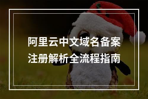 阿里云中文域名备案注册解析全流程指南