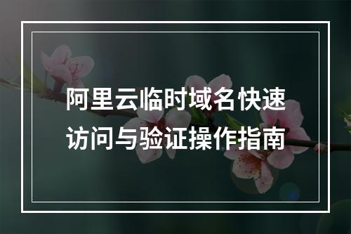阿里云临时域名快速访问与验证操作指南