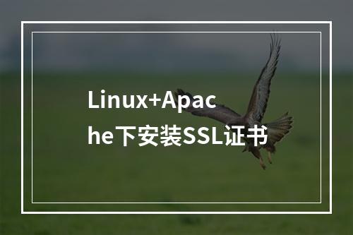 Linux+Apache下安装SSL证书