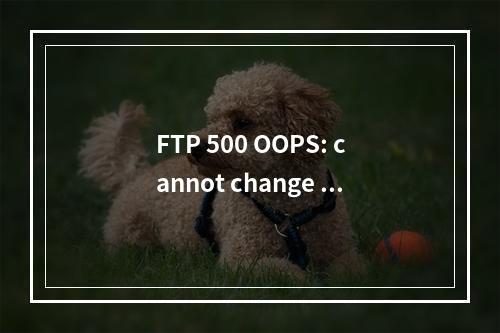 FTP 500 OOPS: cannot change directory:/home/ftp/$USER解决办法