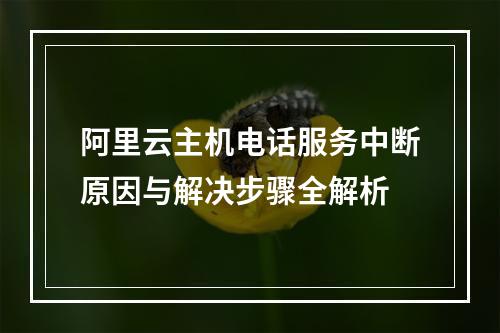 阿里云主机电话服务中断原因与解决步骤全解析