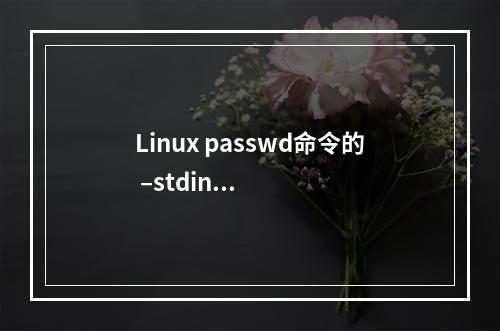 Linux passwd命令的 –stdin 选项