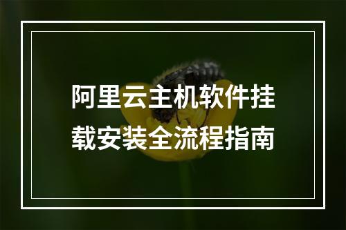 阿里云主机软件挂载安装全流程指南