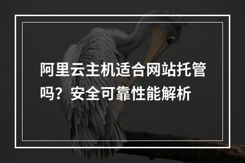 阿里云主机适合网站托管吗？安全可靠性能解析