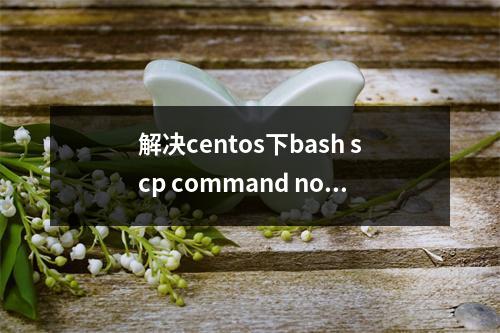 解决centos下bash scp command not found的方法