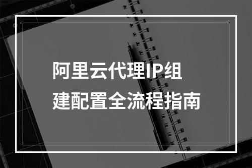 阿里云代理IP组建配置全流程指南