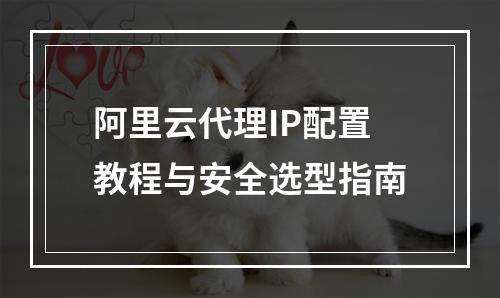 阿里云代理IP配置教程与安全选型指南