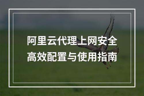 阿里云代理上网安全高效配置与使用指南