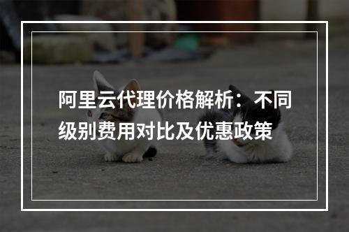 阿里云代理价格解析：不同级别费用对比及优惠政策