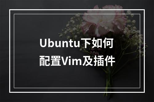 Ubuntu下如何配置Vim及插件