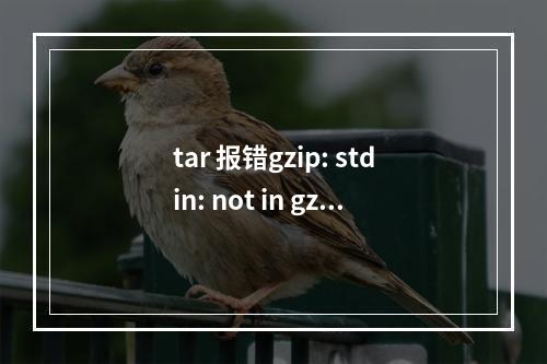 tar 报错gzip: stdin: not in gzip format