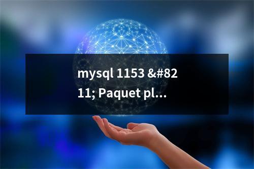 mysql 1153 – Paquet plus grand que \'max_allowed_packet\'