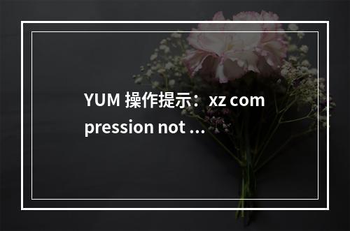 YUM 操作提示:xz compression not available