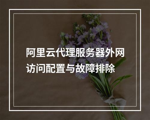 阿里云代理服务器外网访问配置与故障排除