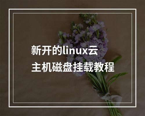新开的linux云主机磁盘挂载教程