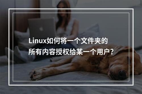 Linux如何将一个文件夹的所有内容授权给某一个用户?