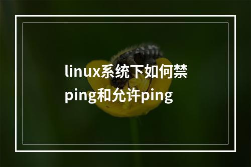 linux系统下如何禁ping和允许ping