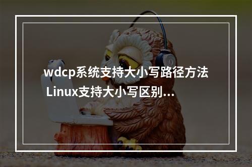 wdcp系统支持大小写路径方法 Linux支持大小写区别的方法