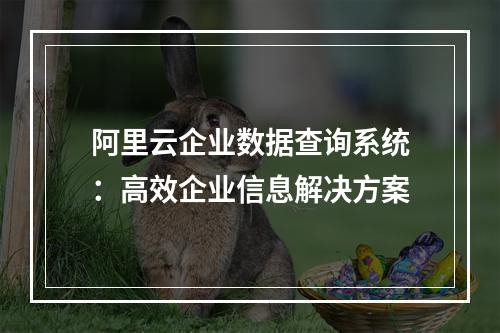 阿里云企业数据查询系统：高效企业信息解决方案