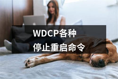 WDCP各种停止重启命令