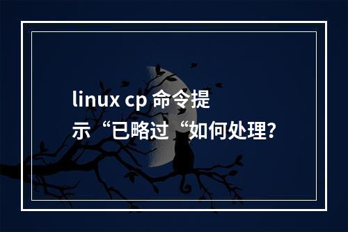 linux cp 命令提示“已略过“如何处理?