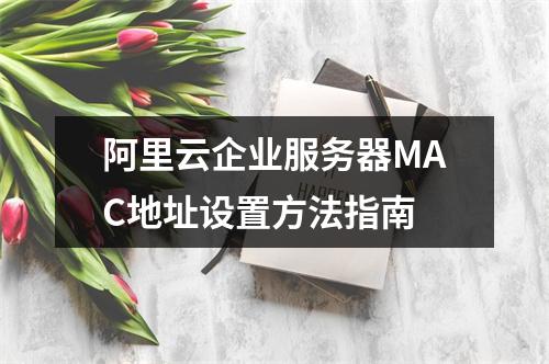 阿里云企业服务器MAC地址设置方法指南
