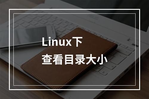 Linux下查看目录大小