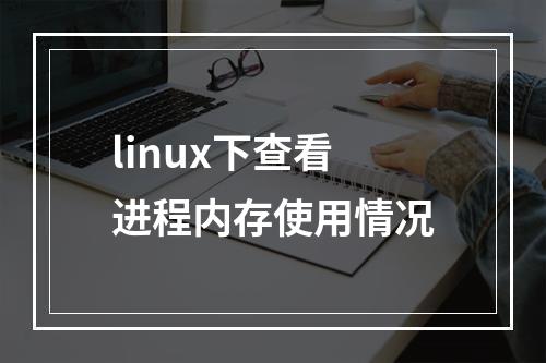 linux下查看进程内存使用情况