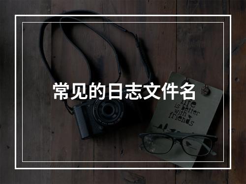 常见的日志文件名