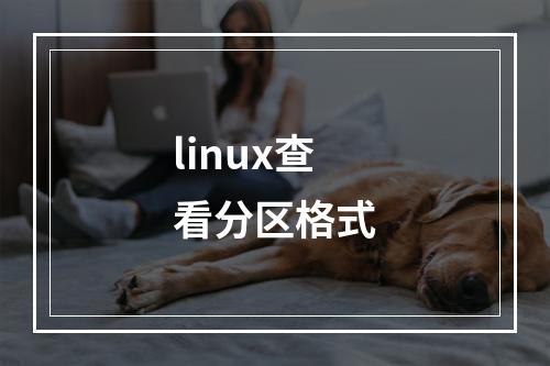 linux查看分区格式