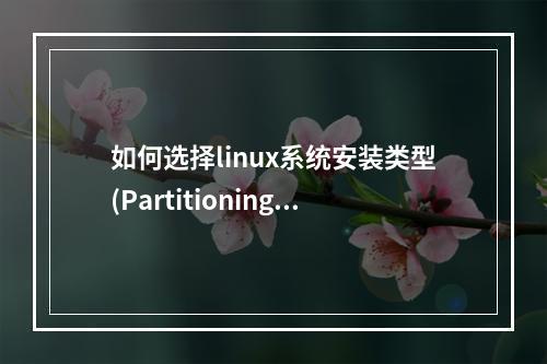 如何选择linux系统安装类型(Partitioning type