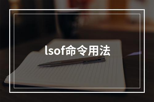 lsof命令用法