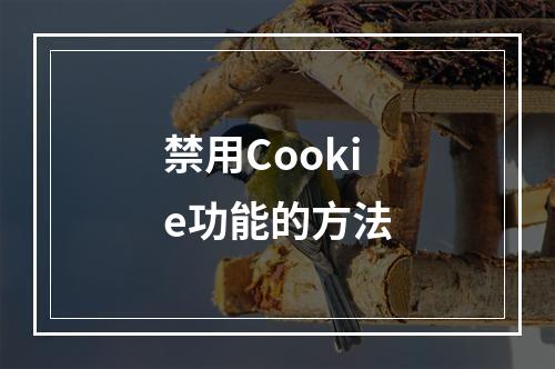 禁用Cookie功能的方法