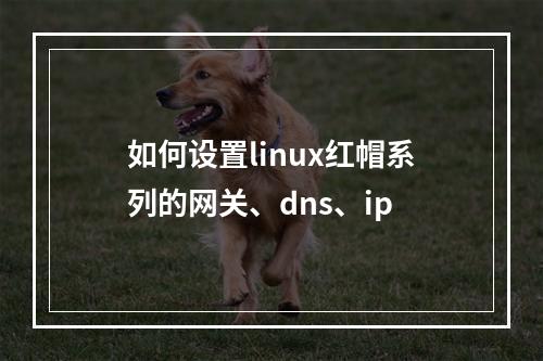 如何设置linux红帽系列的网关、dns、ip