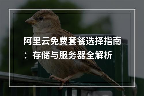 阿里云免费套餐选择指南：存储与服务器全解析