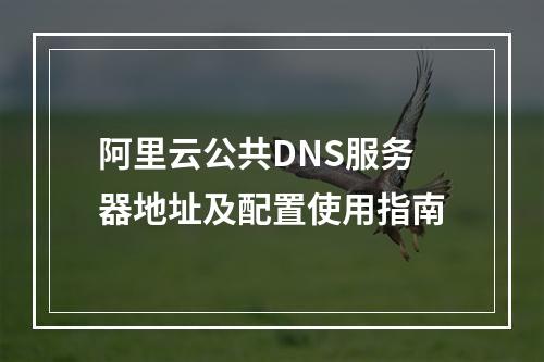 阿里云公共DNS服务器地址及配置使用指南