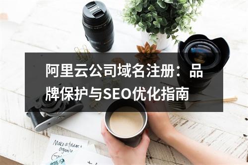阿里云公司域名注册：品牌保护与SEO优化指南