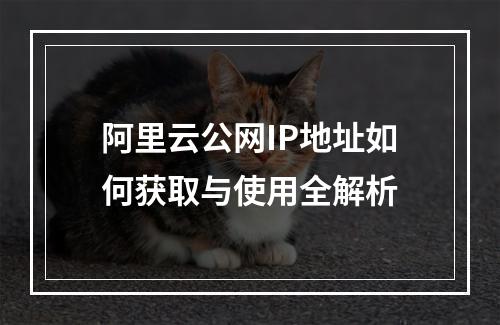阿里云公网IP地址如何获取与使用全解析