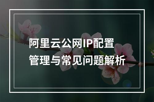 阿里云公网IP配置管理与常见问题解析